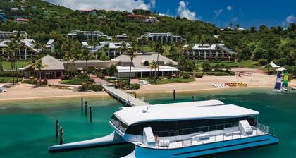 Luxury 2 BR Coral Vista Villa - Westin St John