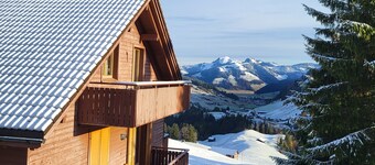 Swiss Chalet for summer and winter fun, next to Luzern and Zurich