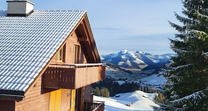 Swiss Chalet for summer and winter fun, next to Luzern and Zurich