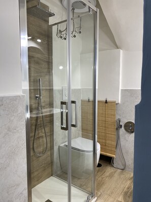 Shower, hair dryer, bidet, towels