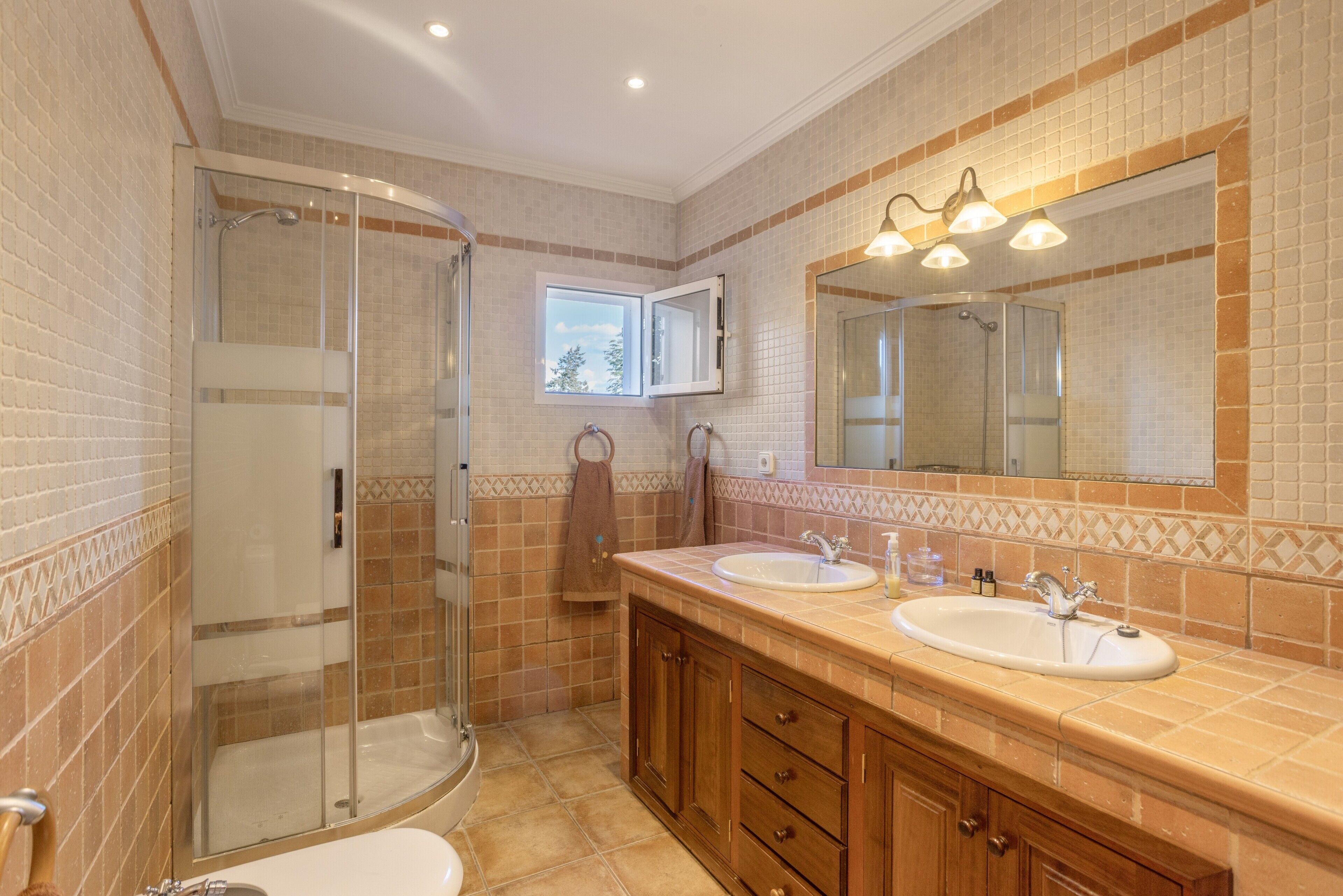 Shower, hair dryer, towels