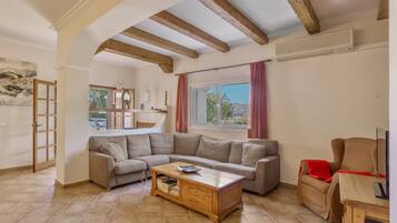 Televisión, chimenea y videojuegos