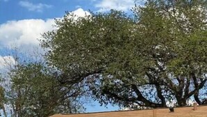 Um pequeno edifício térreo com fachada vermelha e porta azul.