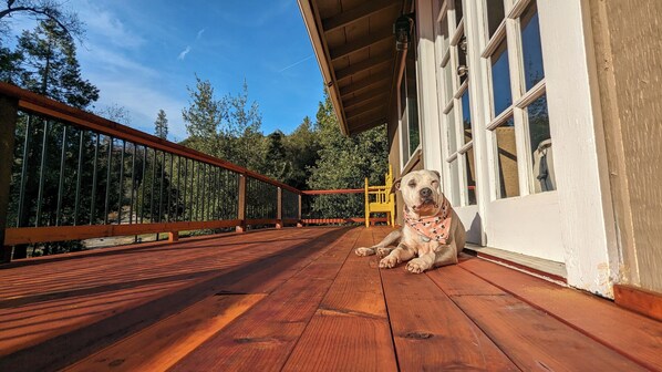 Property grounds - Yosemite Gateway Retreat: Your Ideal Vacation Haven Awaits! (Oakhurst)