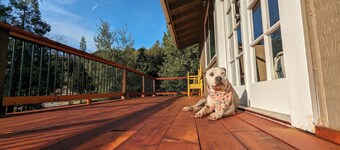 Yosemite Gateway Retreat: Your Ideal Vacation Haven Awaits!