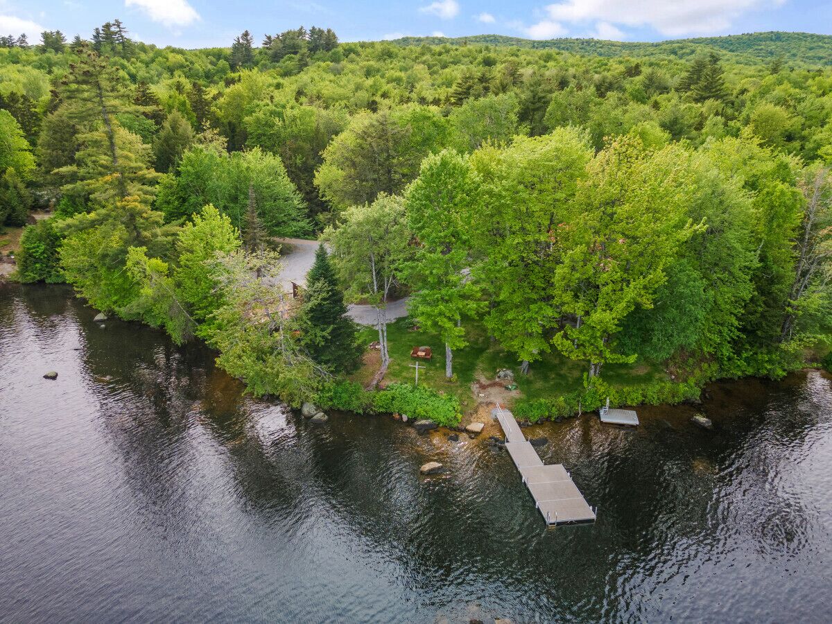 A lakeside cabin with a dock extending into the water, surrounded by dense forest.