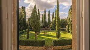 Une vue à travers une fenêtre ornée d’un rideau blanc, dévoilant un jardin bien entretenu avec des haies, des arbres et un belvédère.