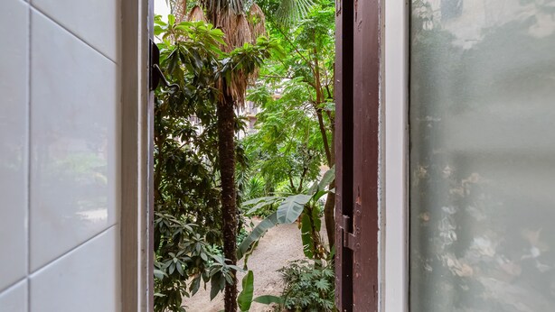 Visão através de uma porta para um jardim exuberante, com diversas plantas e um caminho de cascalho.
