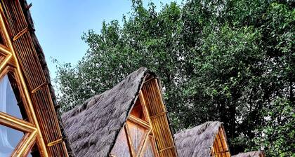 Nemo: Premium Luxury AC Cottage in Vagator