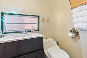Regadera, jabón, shampoo, papel de baño 