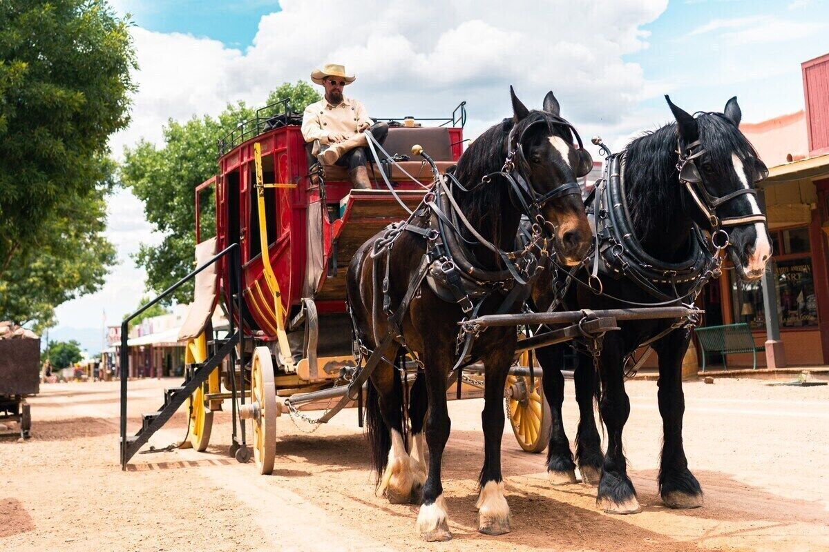 Un carruaje tirado por caballos con un cochero, dos caballos apareados y un carro rojo adjunto.