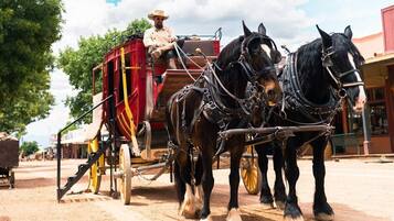 Un carruaje tirado por caballos con un cochero, dos caballos apareados y un carro rojo adjunto.