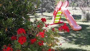 Un jardin avec des fleurs rouges et un toboggan rose.