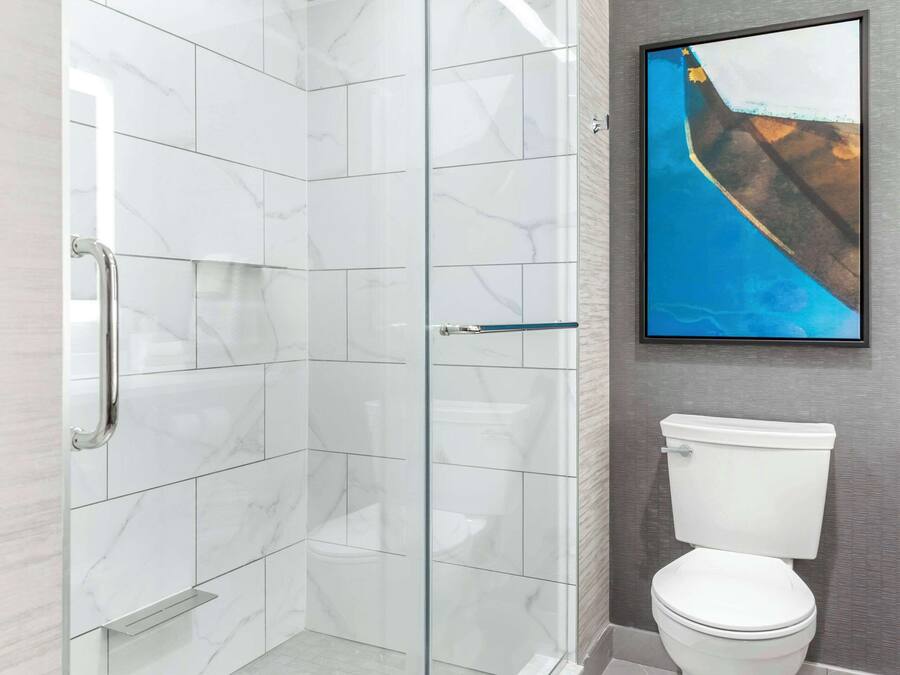A bathroom with a glass-enclosed shower, a white toilet, and a framed artwork on the wall.