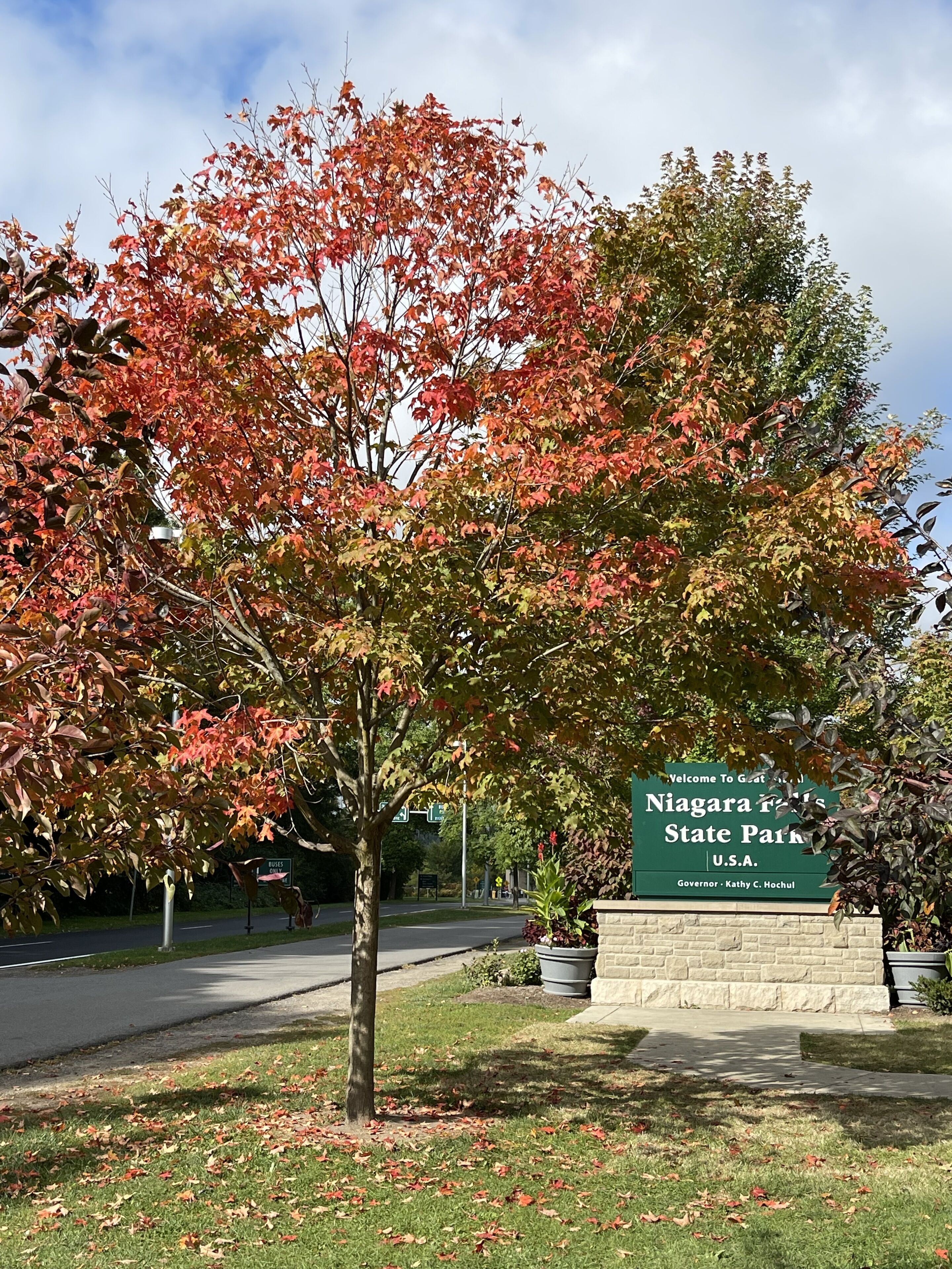 Photo - Cambria Hotel Niagara Falls
