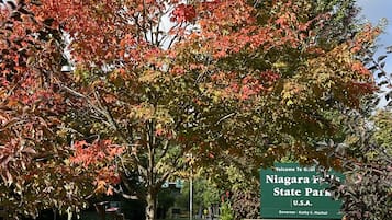 Placa para o Parque Estadual Niagara Falls com uma árvore ao primeiro plano.