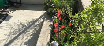 2BD Condo with Piano near National Park