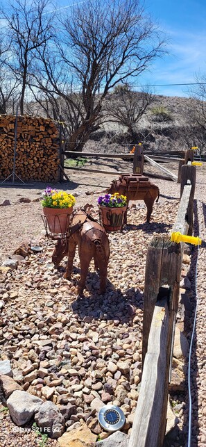 Outdoor dining -  New Vintage Trailer on 40 acre horse ranch close to wineries and fun outings. (Patagonia)