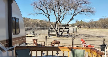 New Vintage Trailer on 40 acre horse ranch close to wineries and fun outings.