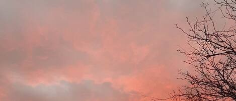 Un perro en un área cercada con heno en el suelo, bajo un cielo al atardecer.
