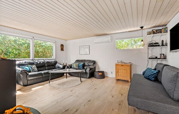 TV connectée, cheminée, lecteur de DVD