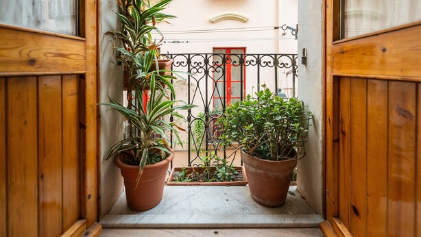 Un étroit couloir en bois, avec deux plantes en pot de chaque côté, qui mène à une porte rouge surmontée d’un portail en métal.