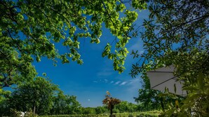 A swimming pool surrounded by lush greenery and a clear blue sky. - Charming Cottage in Fargues (Prayssac/Montcuq) — Private Pool & Spa, Vineyard View (BAGAT EN QUERCY)