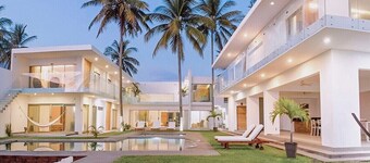 Luxury Palms