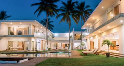 Luxury Palms