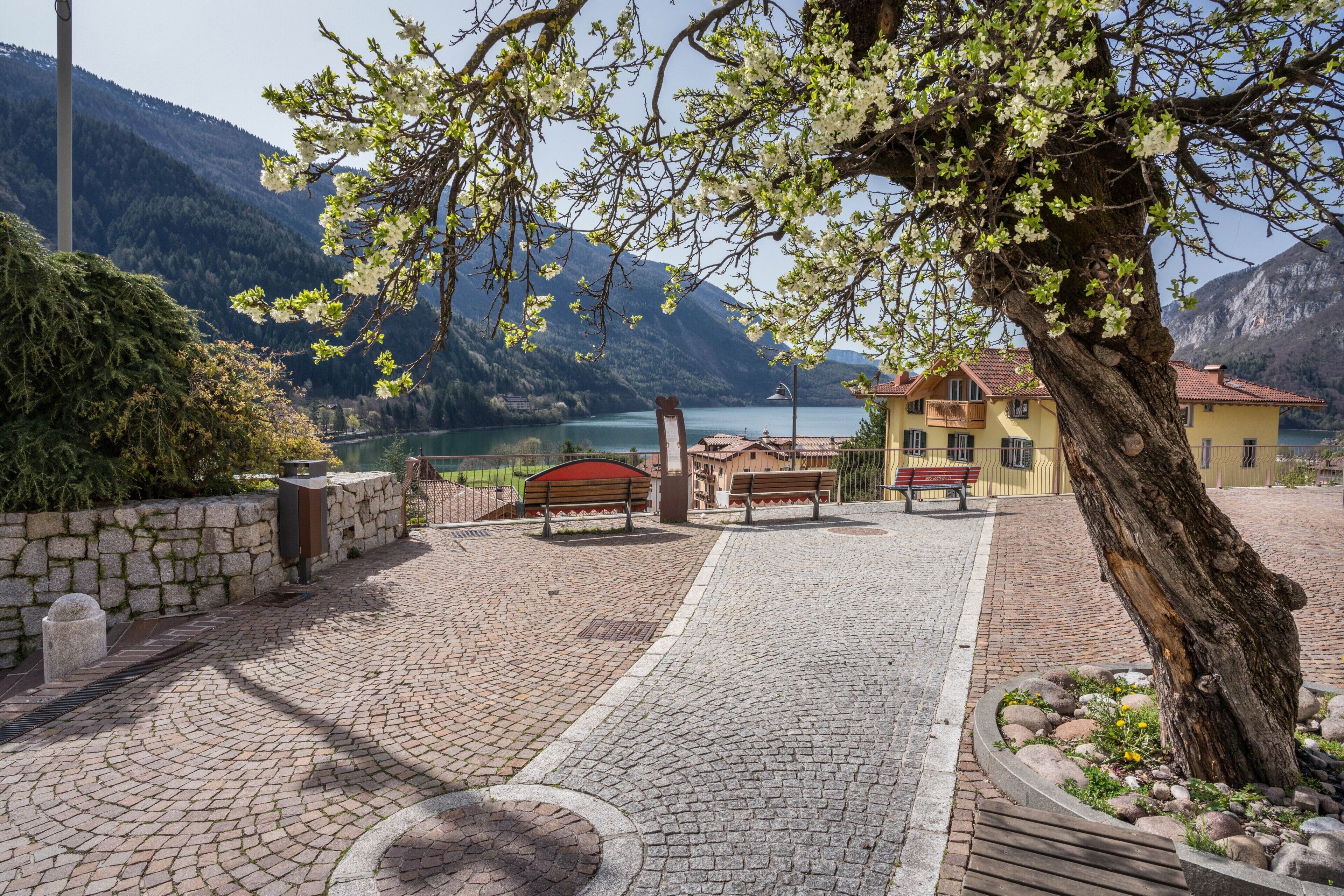 Terrain de l’hébergement 