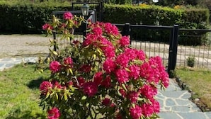 Un jardín con flores rosas, un sendero de piedra y vistas a casas y montañas al fondo.