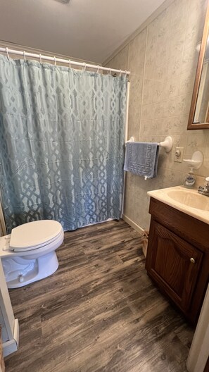 Hair dryer, towels, soap, shampoo - Bungalow Retreat 5 min. to Mt Wash.  
Hot tub and Pet Friendly (Carroll)