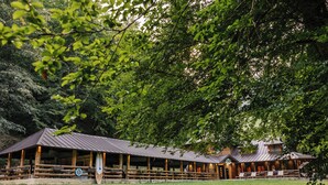 Eine rustikale Lodge mit überdachter Terrasse und Sitzbereich im Freien, umgeben von dichtem Wald.