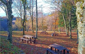 Restauration en plein air