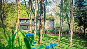 A stone house surrounded by tall trees and lush greenery. - Amazing apartment in Subbiano (Subbiano)