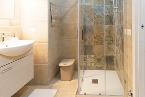 Shower, hair dryer, bidet, towels