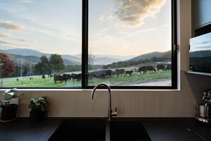 Mikrobølgeovn, kokeplater og oppvaskmaskin