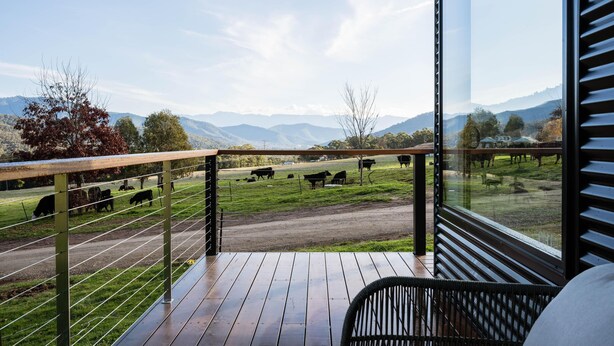 Ein Balkon mit Blick auf eine Weide mit Kühen, einer Holzterrasse und einem Metallgeländer.