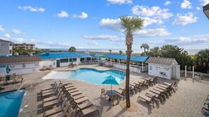 A pool area with lounge chairs, a palm tree, and a view of the ocean. - Tybee Beachfront Condo, 2 Pools & Restaurant, 1–3BR Flexibility, Turtle Time (Tybee Island)
