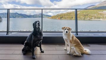 (4double beds and Futon), Dog Friendly, Suite, Non Smoking | Terrace/patio