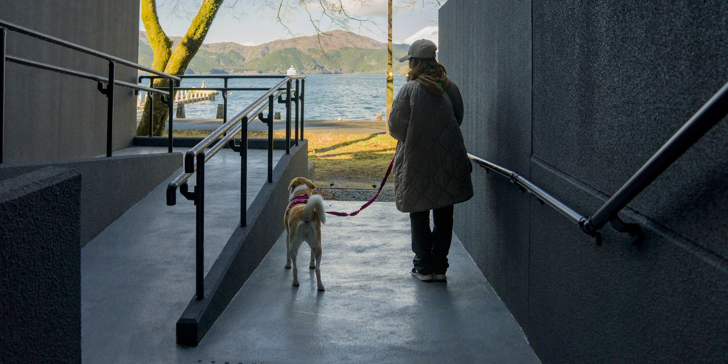 A person walking a dog on a concrete path next to a body of water, with a railing on one side and a building on the other.