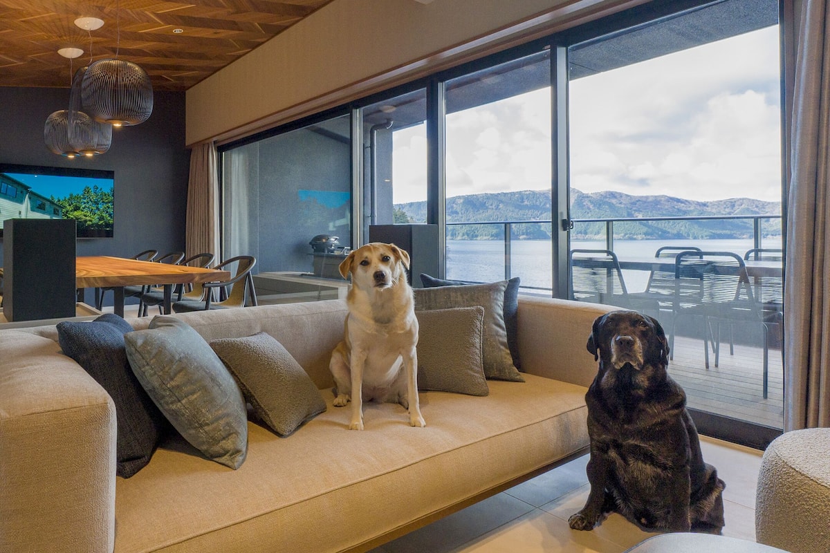 A modern living room with a large sofa, a dining table, and a TV. A dog is sitting on the sofa, and another dog is on the floor.