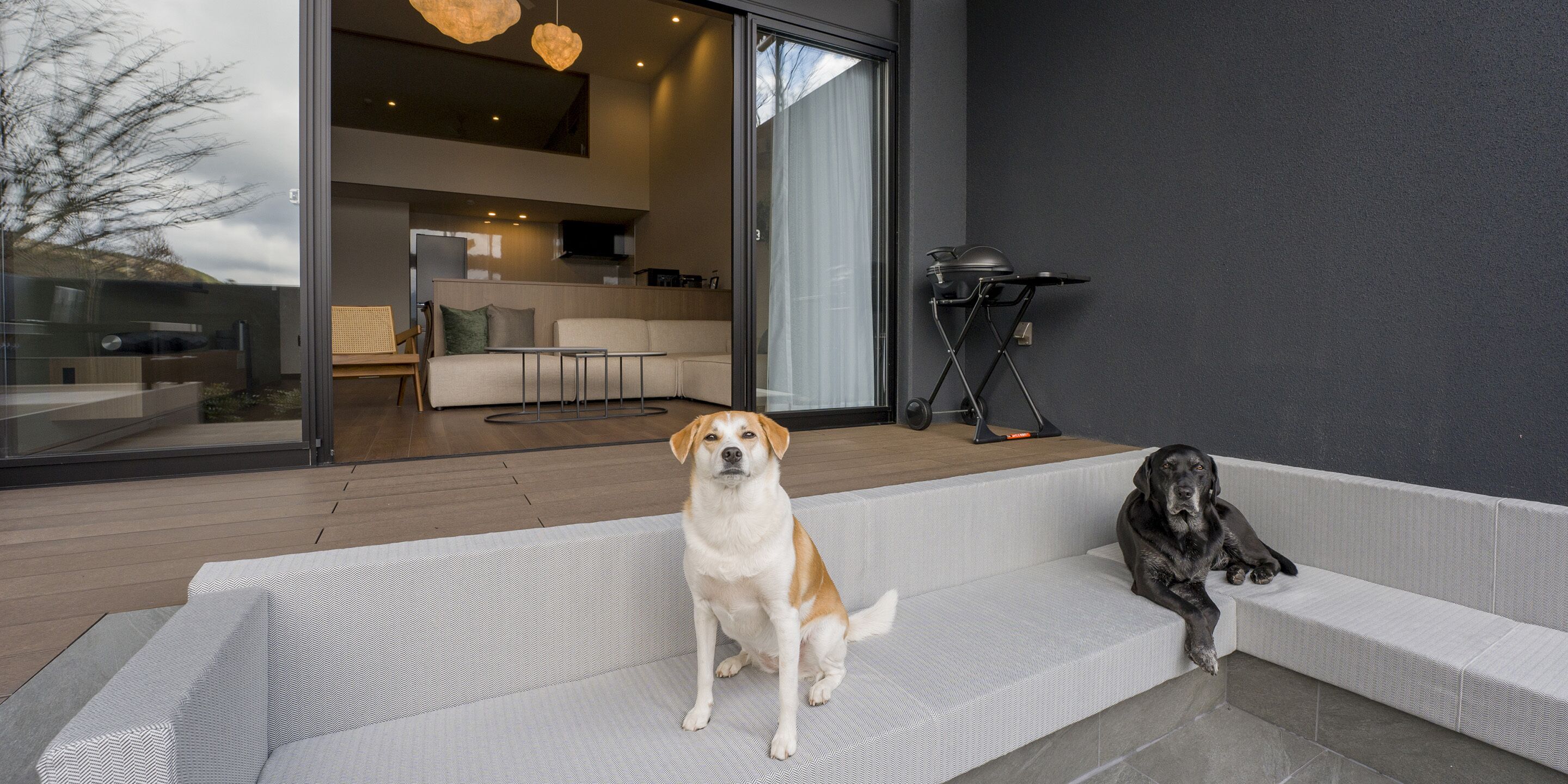 A modern outdoor seating area with two dogs, one sitting and one lying down, near a sliding glass door leading to a kitchen and living space.