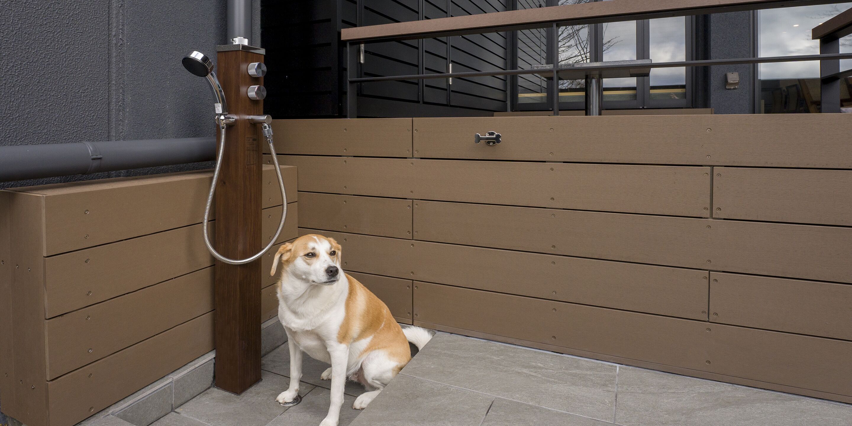 Een hond zit naast een douchecabine met een metalen hek.