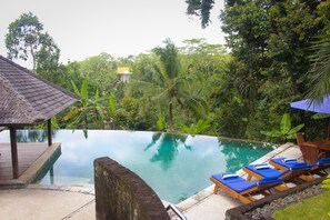 Outdoor pool - The Ikat Villa (Ubud)
