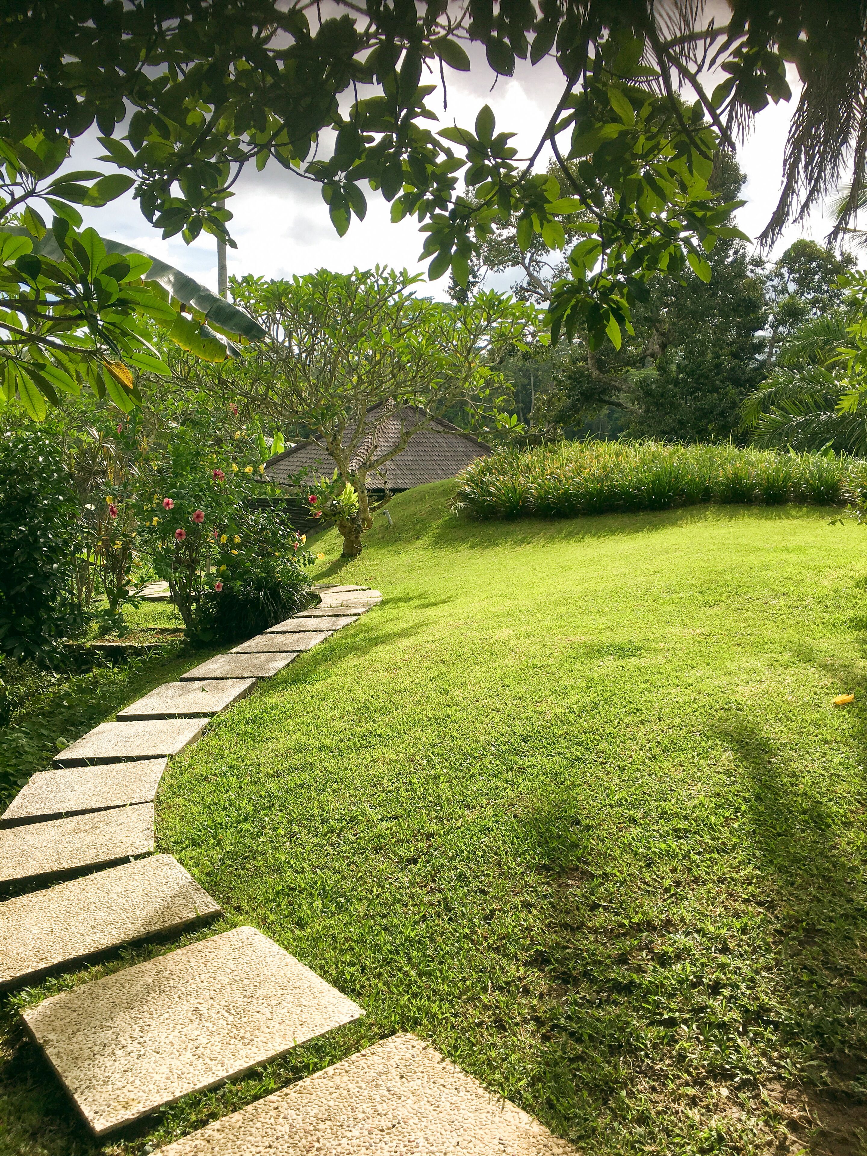 A well-maintained garden with a stone pathway leading to a house.