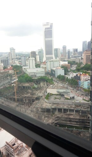 Vista desde la propiedad