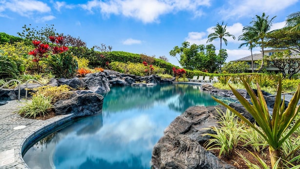 Una piscina rodeada de plantas tropicales y un cielo azul despejado.