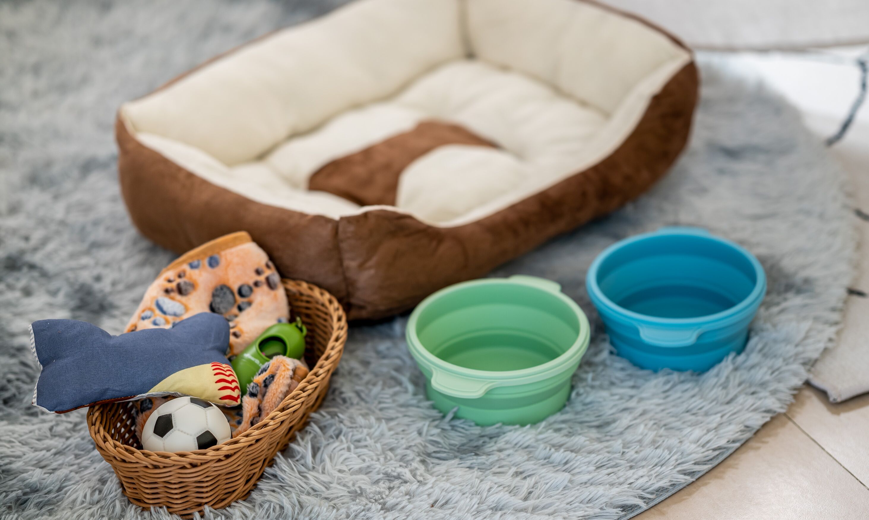 A pet bed, a basket with toys, and two pet bowls on a textured rug.