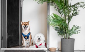 Fachada del alojamiento